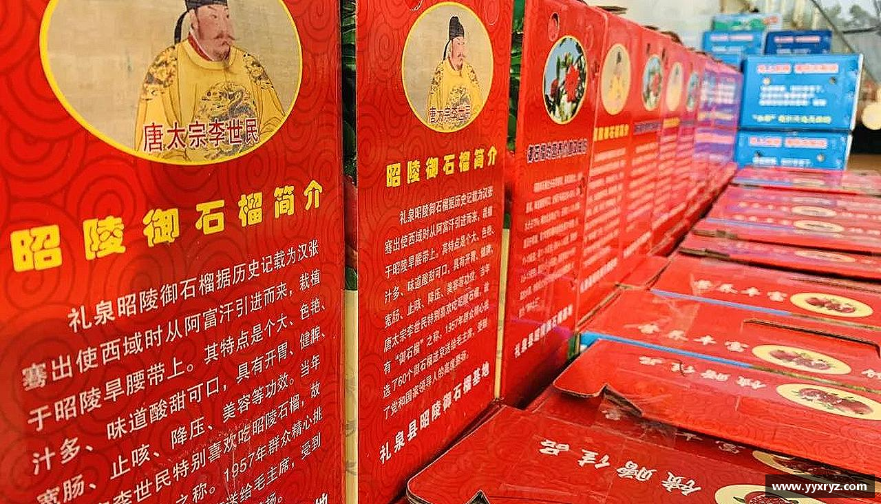 力量源自团结，奋斗点亮梦想！